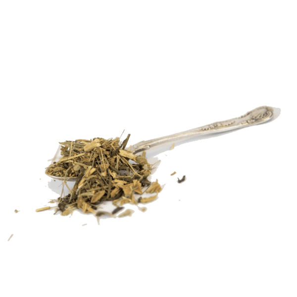 Herbs for BUZZ Tea