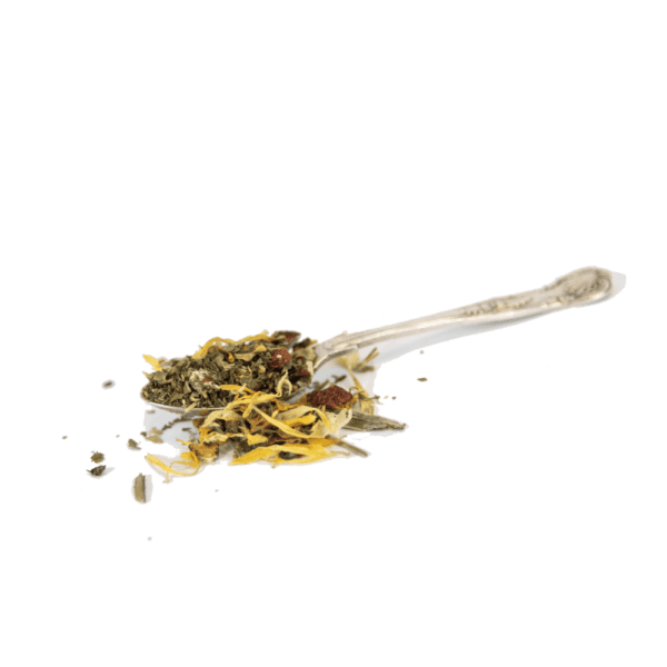 Herbs for MORPHOSIS Tea